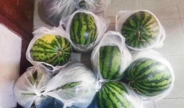 捞人吃瓜,揭秘娱乐圈幕后风云