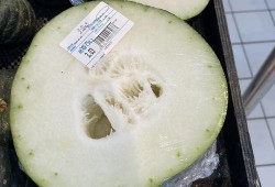 成都吃瓜群,揭秘美食背后的故事与趣闻