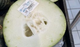 成都吃瓜群,揭秘美食背后的故事与趣闻