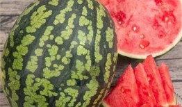 吃大瓜24年,回顾吃大瓜的精彩瞬间