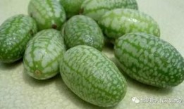 橄榄密瓜怎么吃,美味新体验