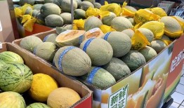 成都吃瓜群,揭秘美食背后的故事与趣闻