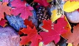 立秋吃瓜的古诗,古韵诗中的时令美味