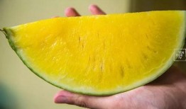 无敌吃瓜,揭秘娱乐圈那些不为人知的幕后故事