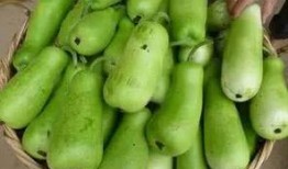 葫芦瓜可以吃吗宝宝,宝宝辅食新选择，营养美味两不误