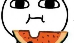 你们在哪里吃瓜,揭秘网络热点背后的故事与真相