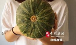 宁夏石缝瓜怎么吃,解锁美味新体验
