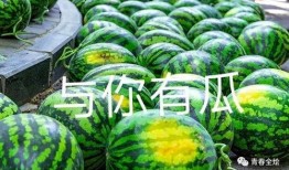 广西建行学院吃瓜