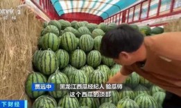 成县最新吃瓜,揭秘当地美食新潮流