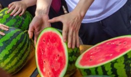 广西建行学院吃瓜