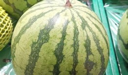 吃大瓜24年,回顾吃大瓜的精彩瞬间