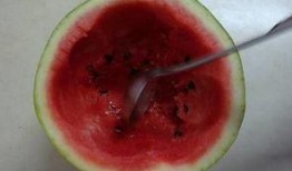 吃旬瓜的好,夏日消暑佳品