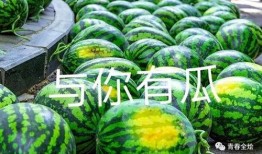 顺德仙姬吃瓜在第几集