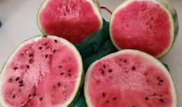 吃麒麟瓜感觉甜得咸,甜蜜与咸香的奇妙交融