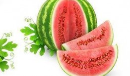 36wcc吃瓜,揭秘娱乐圈背后的那些事儿