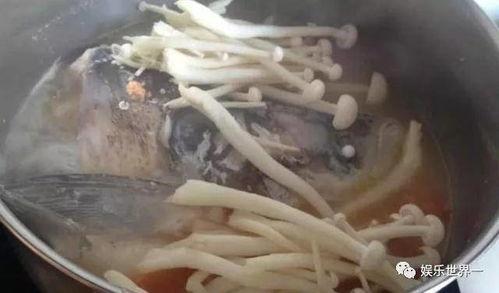 吃瓜小熊海鲜菇,吃瓜小熊带你探索海鲜菇的鲜美奥秘