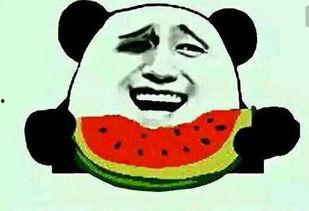 彩虹圈吃瓜群众,揭秘吃瓜群众的狂欢盛宴