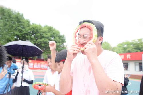 贵州大学吃瓜校队事件,揭秘校园网络暴力背后的真相