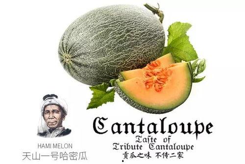 吃蜜瓜的李节,甜蜜滋味，尽享清凉